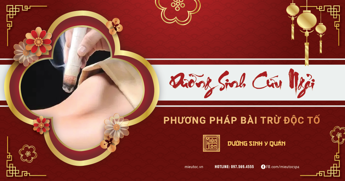 Dưỡng sinh cứu ngải - phương pháp bài trừ độc tố