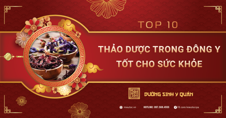 TOP 10 thảo dược sử dụng trong Dưỡng Sinh Đông Y tốt cho sức khỏe