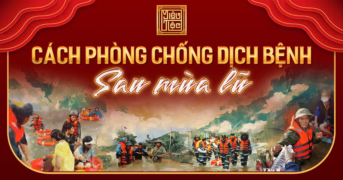 CÁCH PHÒNG CHỐNG DỊCH BỆNH SAU MÙA LŨ